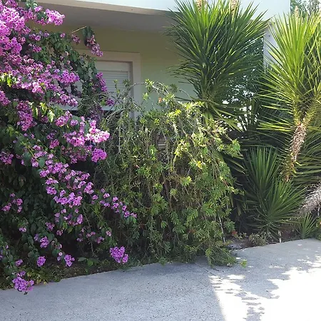 Giardin Apartment Zadar